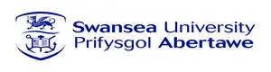 Swansea University